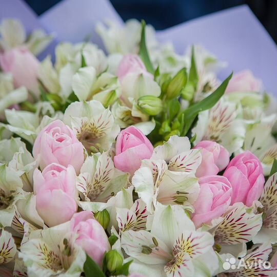 Тюльпаны букет