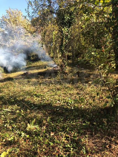 Участок 9 сот. (СНТ, ДНП)