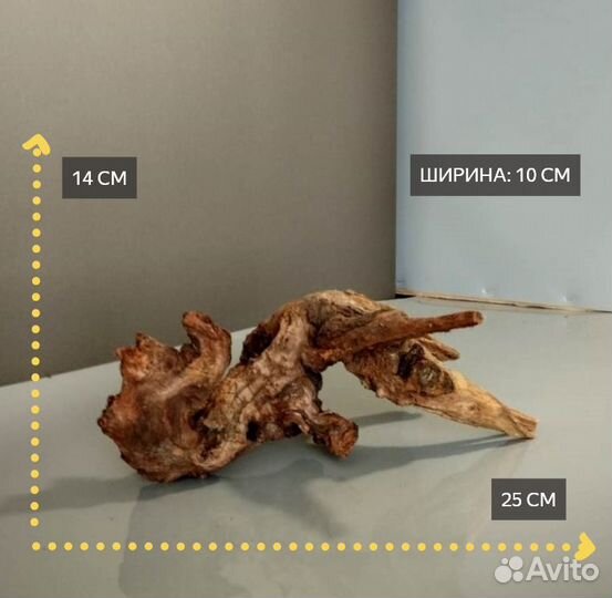 Коряга Мангр