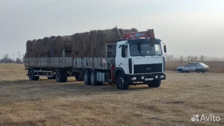 Сено луговое,с Доставкой