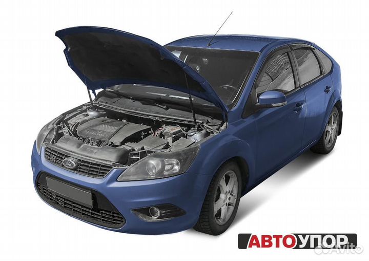 Газовые Упоры Капота Ford Focus 2 (2005-11)