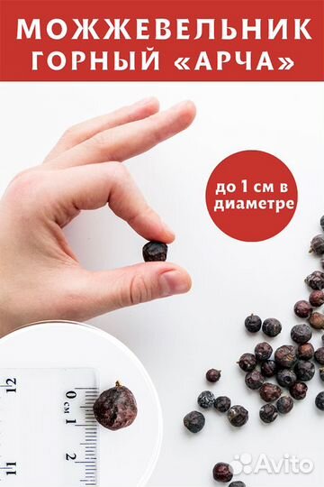 Можжевеловая ягода арча, 50 г
