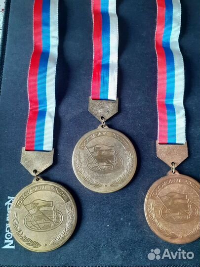 Чемпионат России тренер, чемпион, 3 место