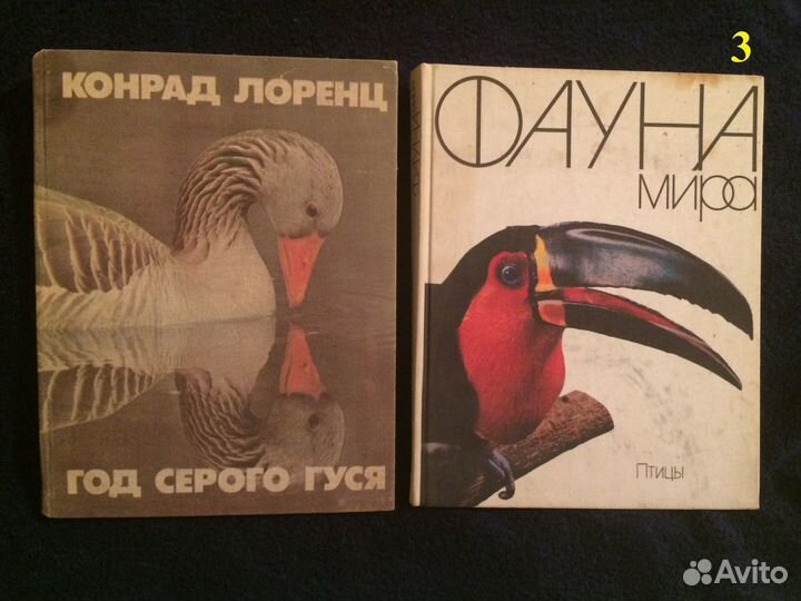Книги: природа, птицы, животные
