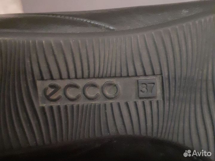 Туфли,балетки,ecco37разм23,5-24см,по стелька