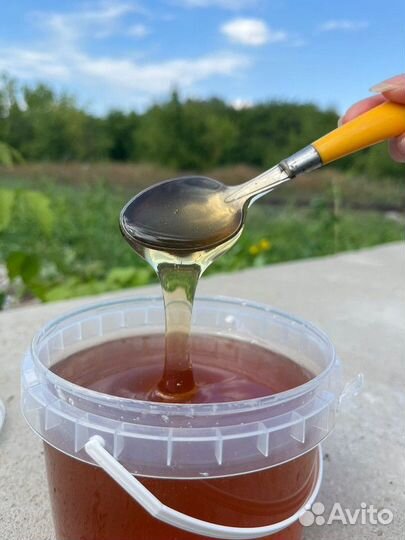 Мёд цветочный