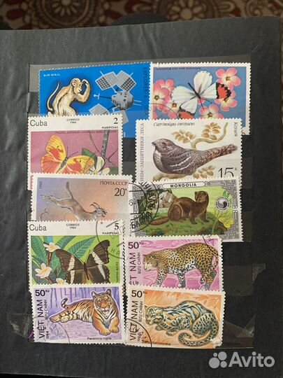 Почтовые марки