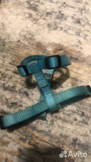 Шлейка для мелких пород собак