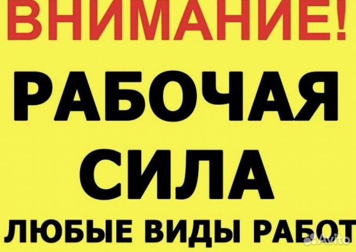 Бригада разнорабочих