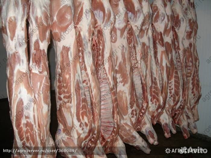 Свинина в полутушах без шкуры опт