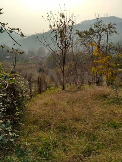 Участок 10 сот. (СНТ, ДНП)