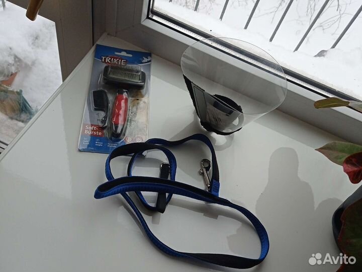 Поводок, щётка для шерсти, воротник медицинский