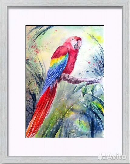 Картина акварель Попугай ара