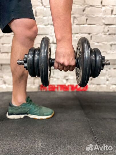 Гантель на 16,5кг разборная