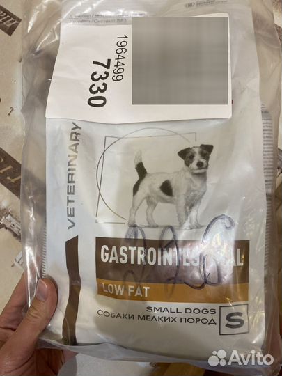 Royal canin gastrointestinal