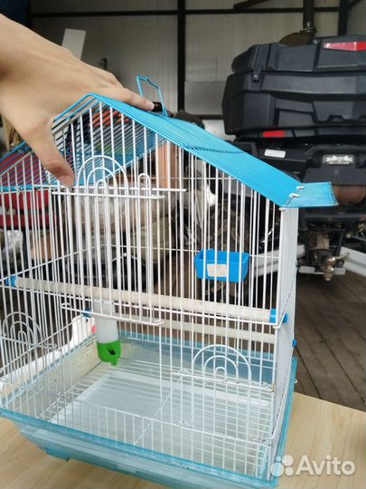 Клетка для попугая бу