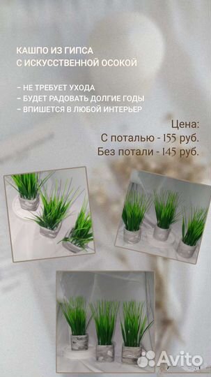 Осока в гипсовом кашпо