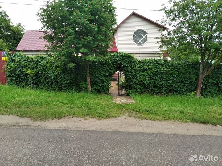 Виноград девичий.Зеленый забор.Лох серебристый