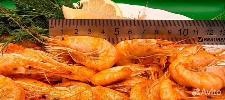 Креветка Усик Premium