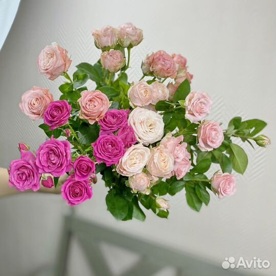 Кустовые розы Букеты