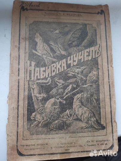 Книга Набивка чучел. 1911 г