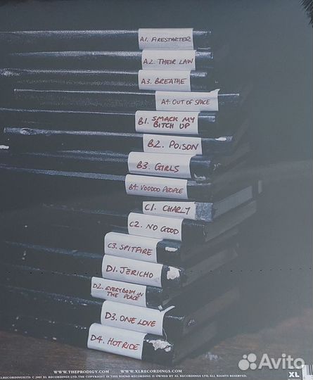 Виниловые пластинки The prodigy
