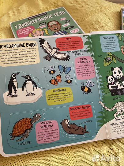 Детские книги Clever