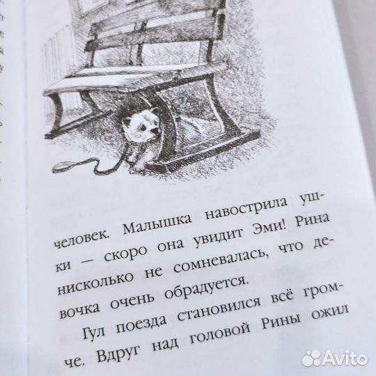 Книга Холли Вебб