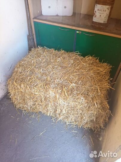 Солома в тюках в Незнамово