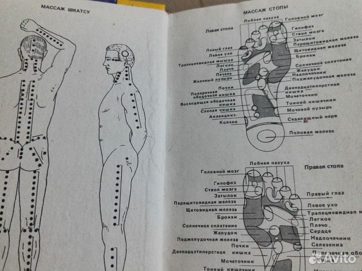 Практическое пособие по массажу. В.И. Дубровский