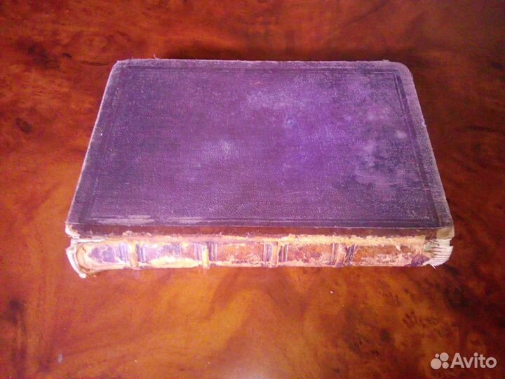 Салтыковъ-Щедринъ 1892г