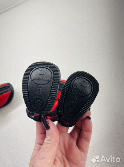 Обувь для маленьких собак