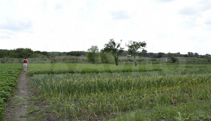 Участок 45 сот. (СНТ, ДНП)