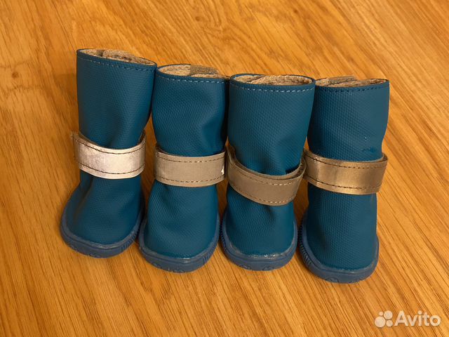 Обувь для маленьких собак