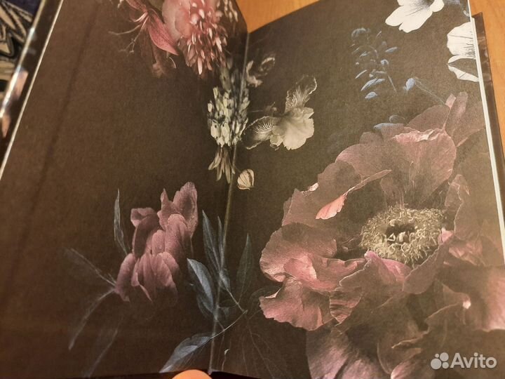 Татьяна Корсакова - Тайна Ведьмы