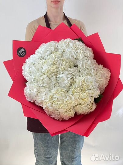 Букет цветы Гортензии