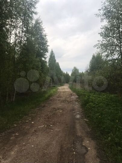 Участок 12 сот. (ИЖС)