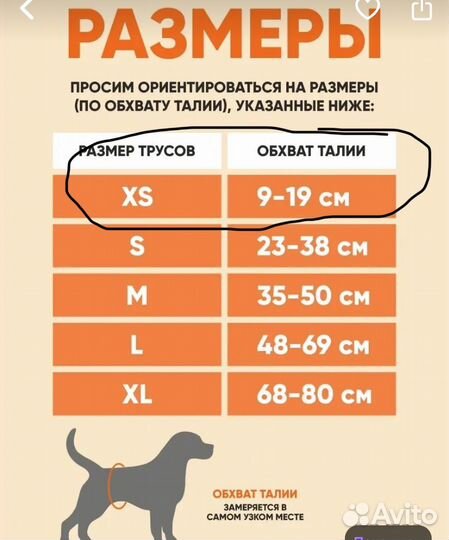 Трусы многоразовые для собак мелких пород