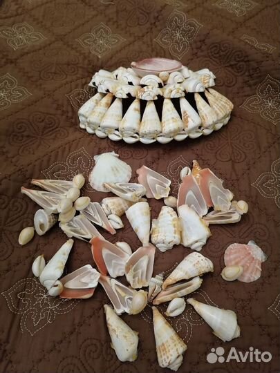 Ракушка декор