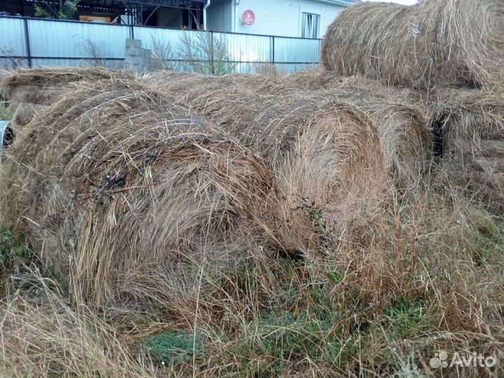 Сено в рулонах 2024