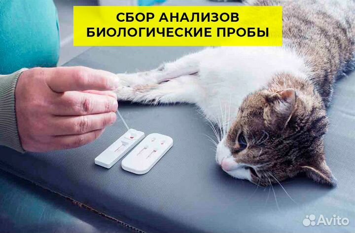 Ветеринар. Срочный выезд на дом. Круглосуточно