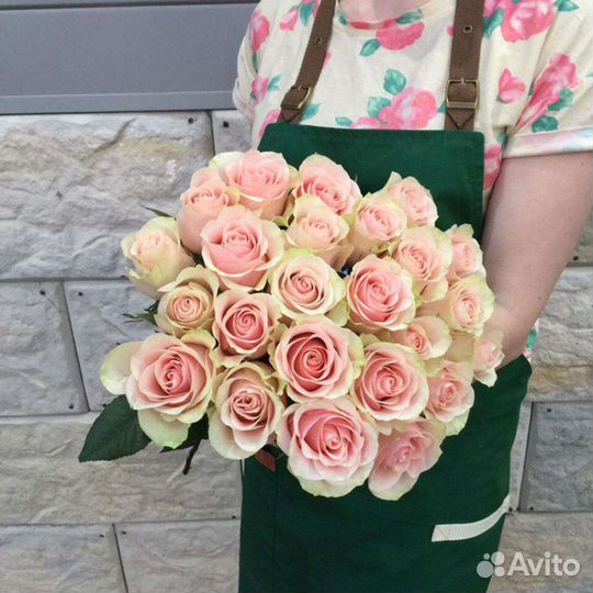 51 роза фрутетто