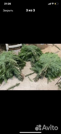 Банные веники пихта, 20шт