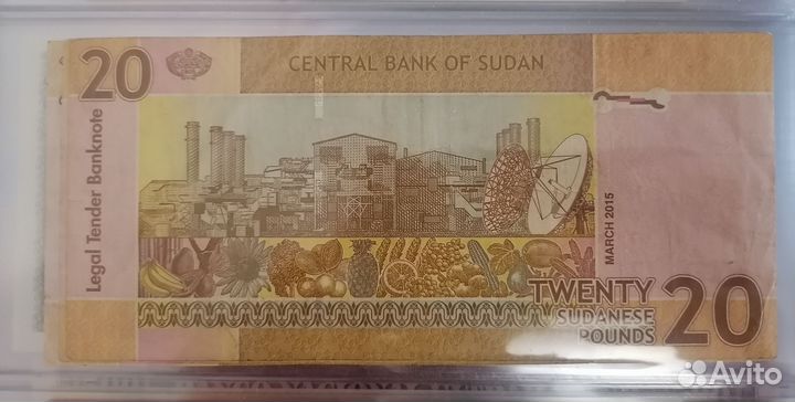 Судан 20 фунтов