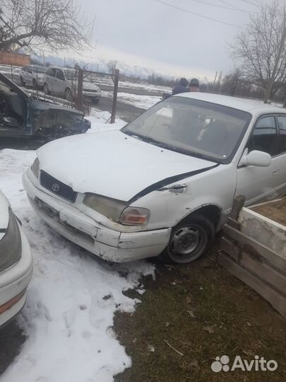 Тойота карина