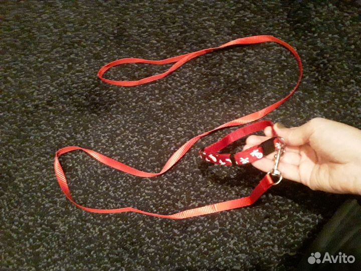 Новый поводок и ошейник антиудавка для выгула