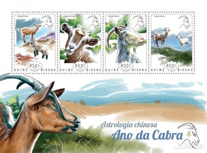 Гвинея-Биссау, 2014. (gb14709) Фауна, козы (мл+бло