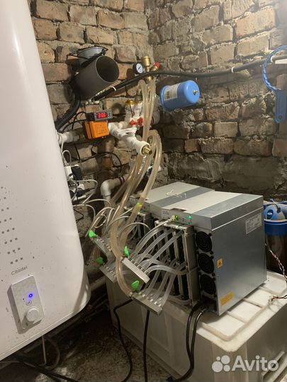 Криптокотел Antminer/Whatsminer