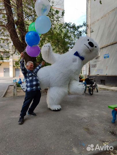 Поздравление от большого белого медведя