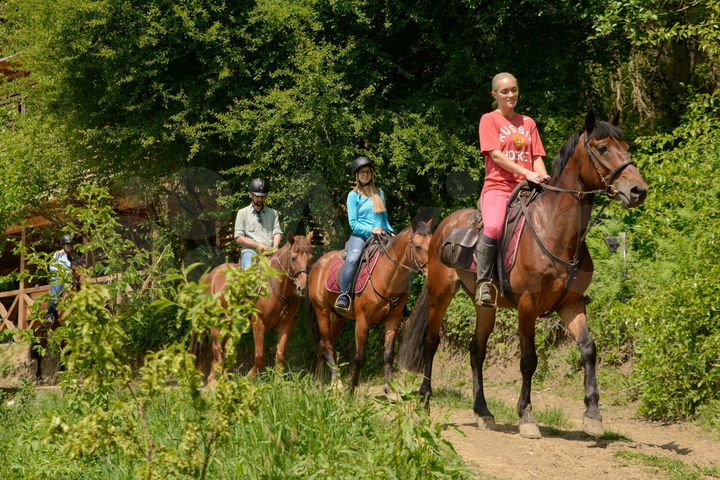 Участок 31,5 га (СНТ, ДНП)